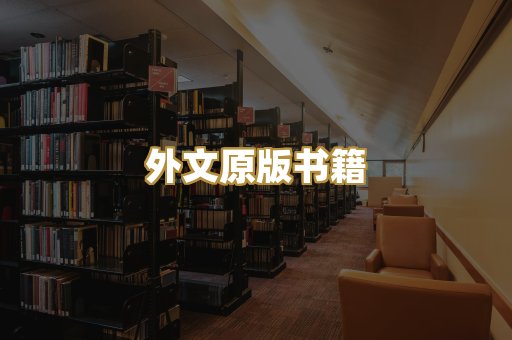 TXT文本书库